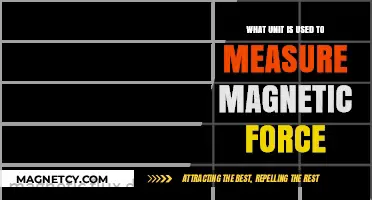 Understanding Magnetic Force: The Unit of Measurement Explained