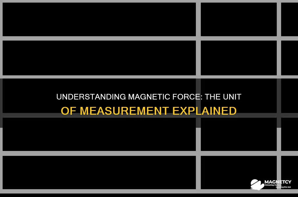 what unit is used to measure magnetic force
