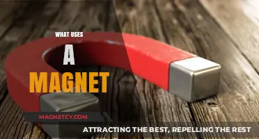 Magnetic Marvels: Everyday Uses of Magnets in Modern Life