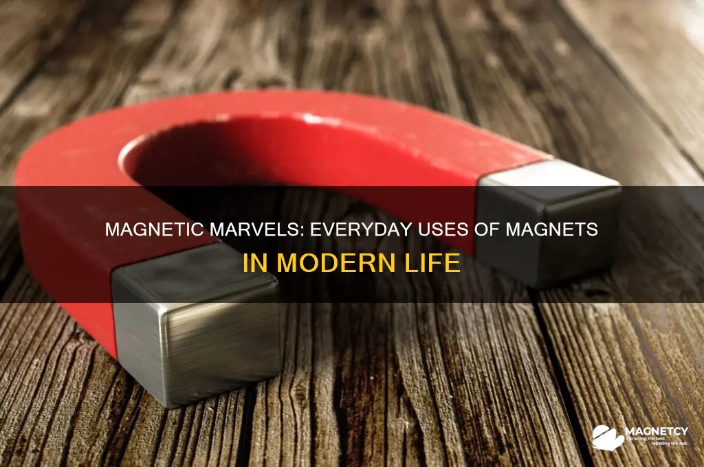 what uses a magnet