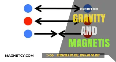 Gravity and Magnetism: Unseen Forces Shaping Our Universe and Technology
