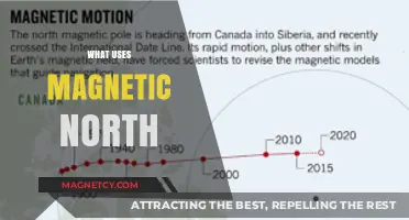 Exploring Magnetic North: Essential Uses in Nature and Technology