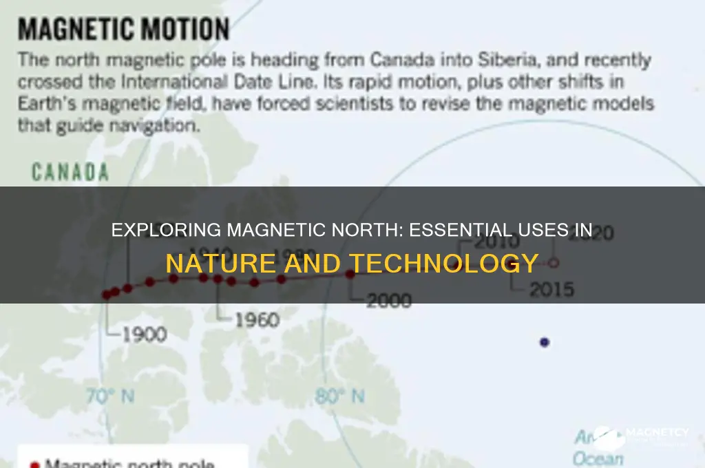 what uses magnetic north