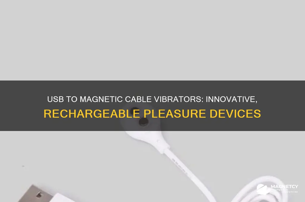 what vibrator uses a usb to magnetic cable