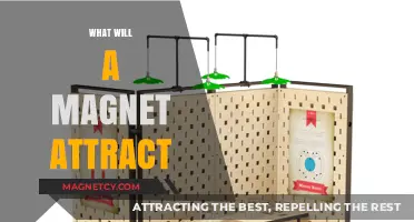 Magnetic Mysteries: Unveiling What Metals and Materials Magnets Attract