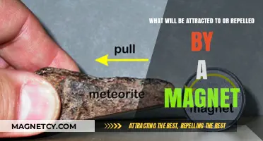 Magnetic Attraction and Repulsion: What Materials Interact with Magnets?