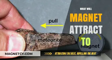 What Will a Magnet Attract? Exploring Magnetic Materials and Forces