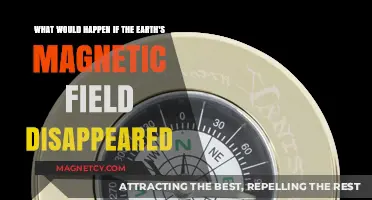Vanishing Compass: The Catastrophic Consequences of Earth's Magnetic Field Disappearance