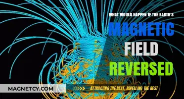 Magnetic Mayhem: Exploring the Consequences of Earth's Field Reversal