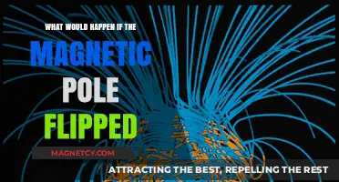 Earth's Magnetic Pole Flip: Catastrophic Consequences or Natural Cycle?