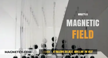 Exploring the Invisible Force: Understanding Earth's Magnetic Field