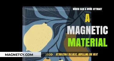 When Wires Attract Magnets: Unveiling the Magnetic Field Connection