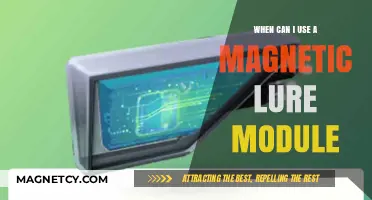 Magnetic Lure Module: Optimal Usage Timing and Effective Strategies