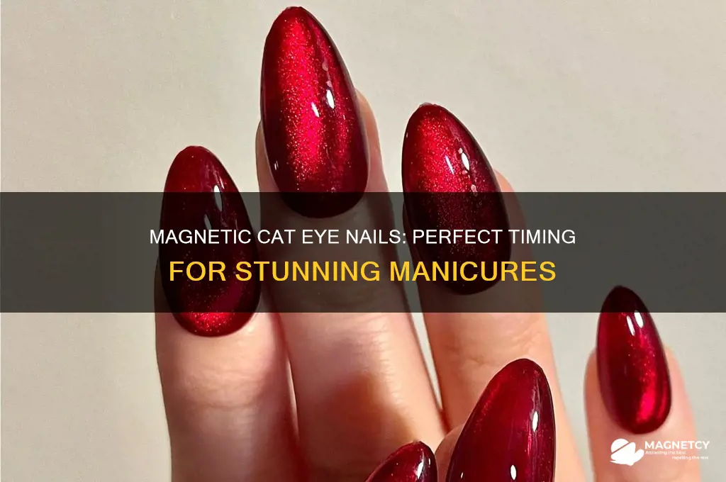 when do you use the magnet for cat eye nails
