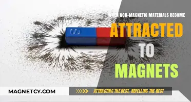 Unexpected Attraction: How Non-Magnetic Materials Can Be Drawn to Magnets