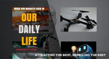 Magnets in Daily Life: Unseen Forces Powering Everyday Convenience