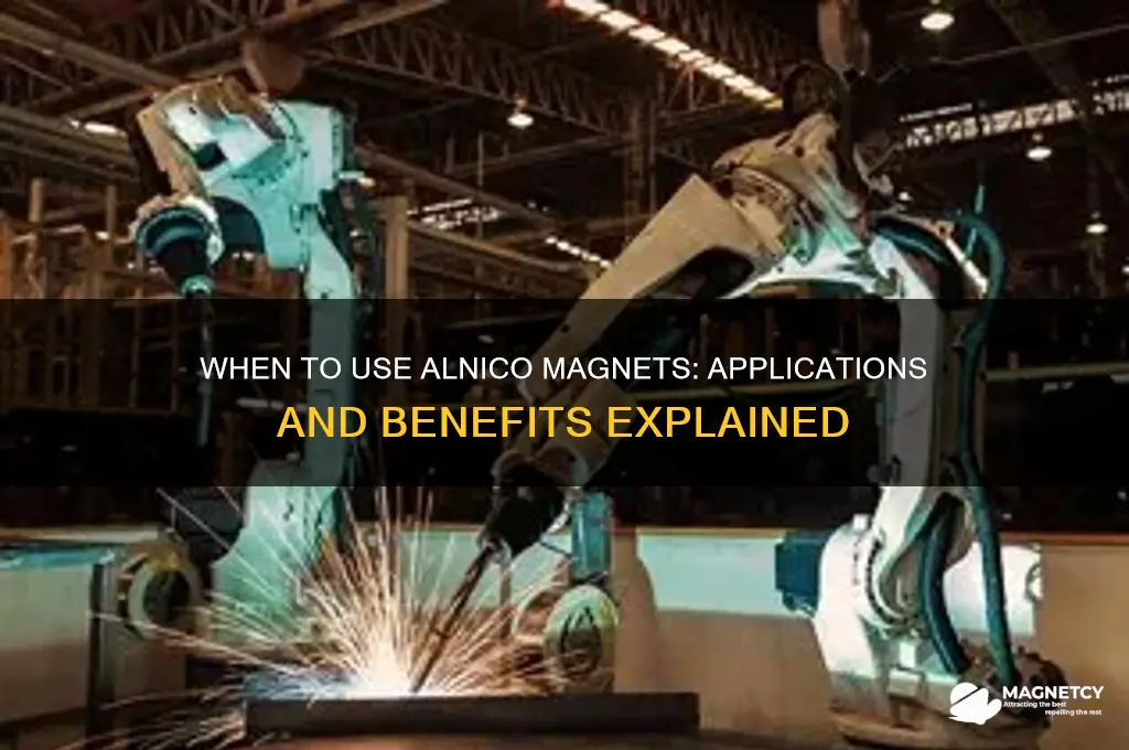when to use alnico magnets