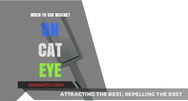 When to Safely Use Magnets on Cat Eyes: A Guide