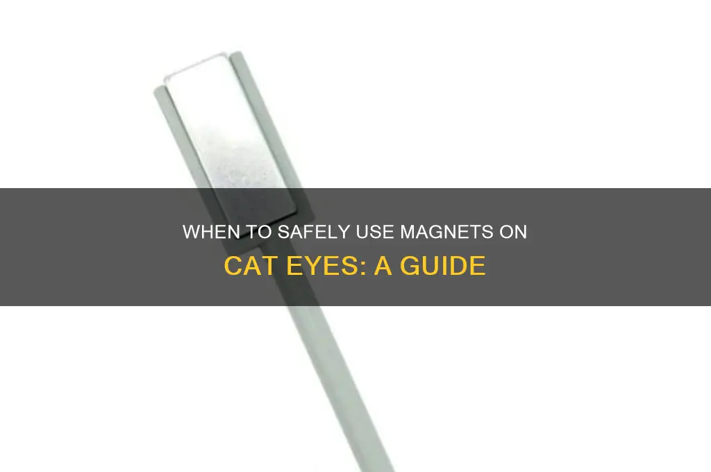 when to use magnet on cat eye