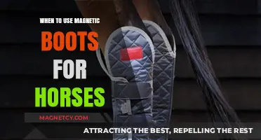 Magnetic Boots for Horses: Optimal Use and Benefits Explained