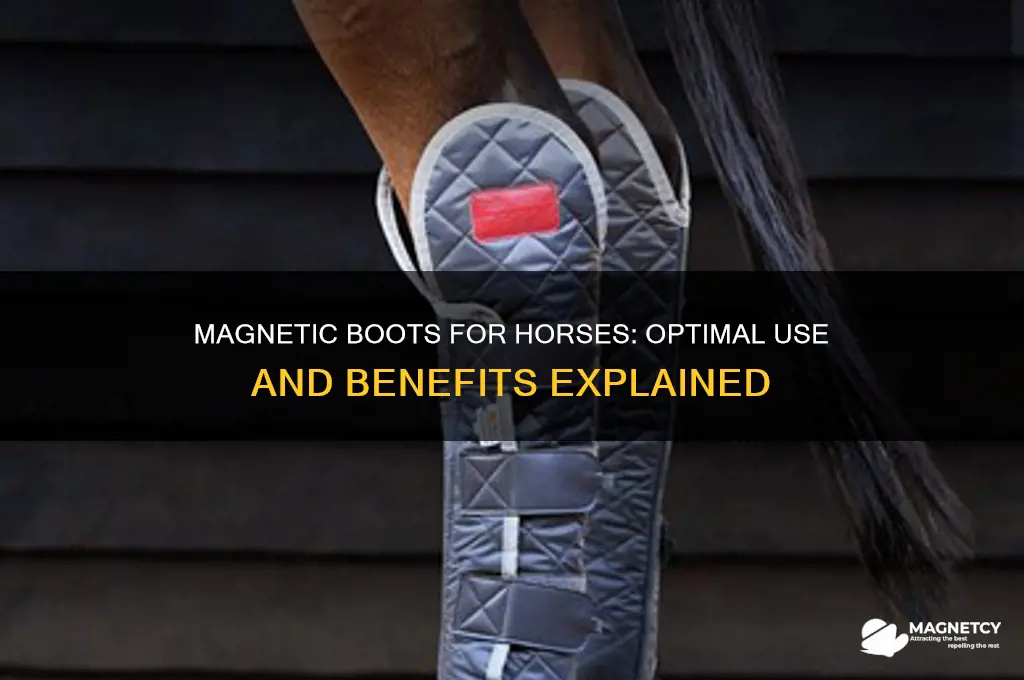 when to use magnetic boots for horses