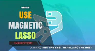 Mastering Magnetic Lasso: Perfect Timing for Precision Selections in Photoshop