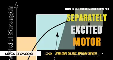 Magnetization Curve Applications in Separately Excited Motor Design