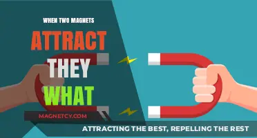Magnetic Attraction: Understanding the Force When Two Magnets Pull Together