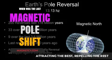 Earth's Magnetic Poles: When Was the Last Shift?
