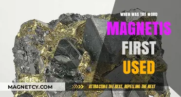 Tracing the Origins: When 'Magnetism' First Entered Our Vocabulary