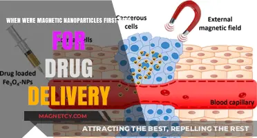 Pioneering Magnetic Nanoparticles in Drug Delivery: A Historical Overview