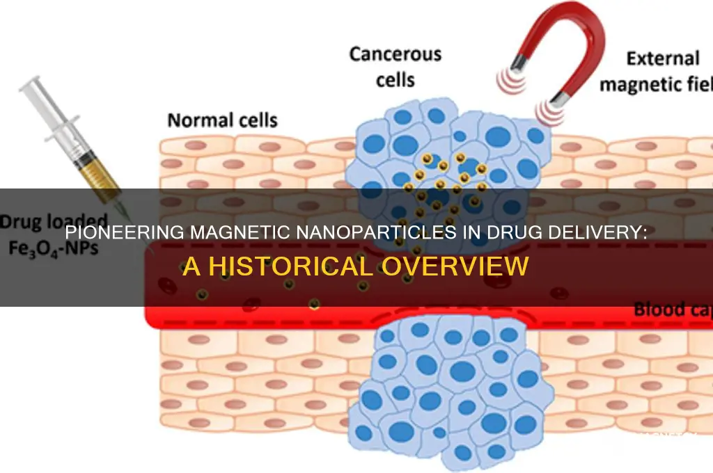 when were magnetic nanoparticles first used for drug delivery