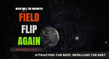 Earth's Magnetic Field Flip: When Will It Happen Again?