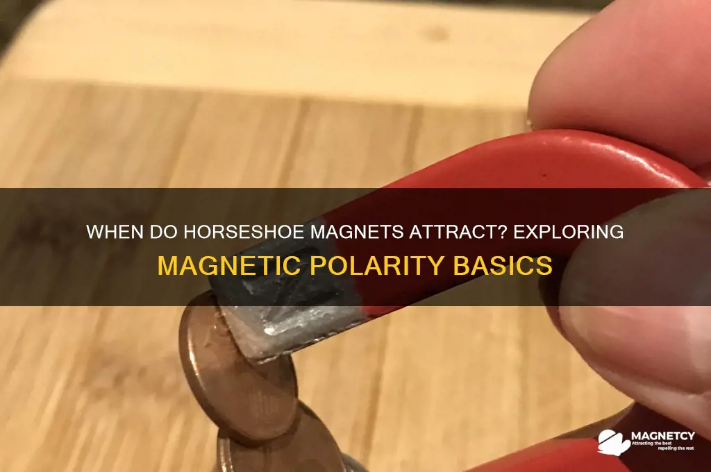 when would two horseshoe magnets attract each other