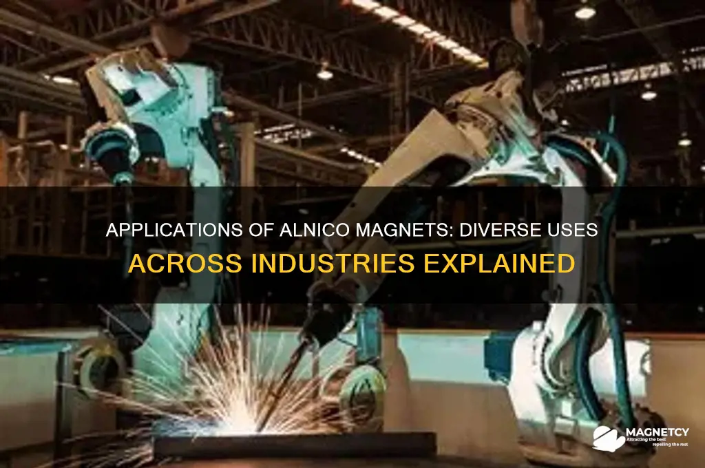 where are alnio magnets used