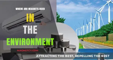 Magnets in Nature: Environmental Applications and Sustainable Innovations