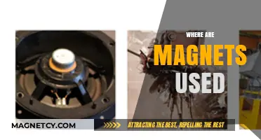 Magnets in Action: Exploring Their Diverse Applications Across Industries