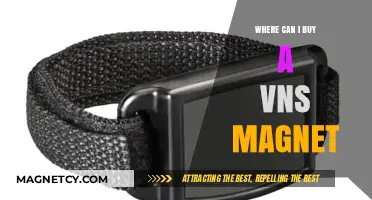 Where to Buy a VNS Magnet: Top Retailers and Online Options