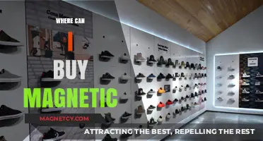 Where to Buy Magnetic Products: Top Retailers and Online Stores