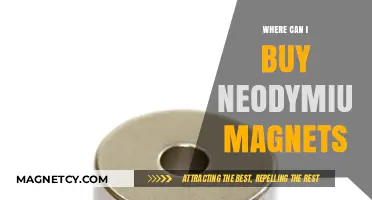 Where to Buy Neodymium Magnets: Top Retailers and Online Sources