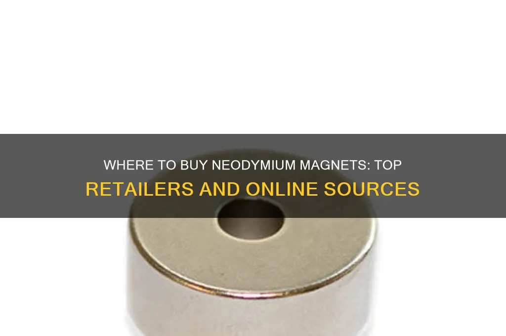 where can i buy neodymium magnets