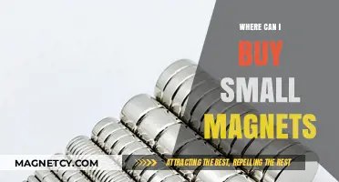 Where to Buy Small Magnets: Top Retailers and Online Stores