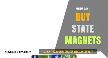 Discover the Best Places to Buy State Magnets Online