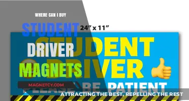 Where to Buy Student Driver Magnets: Top Retailers and Online Options