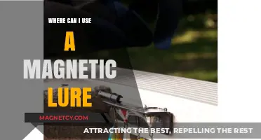 Magnetic Lure Uses: Creative Applications for Fishing and Beyond