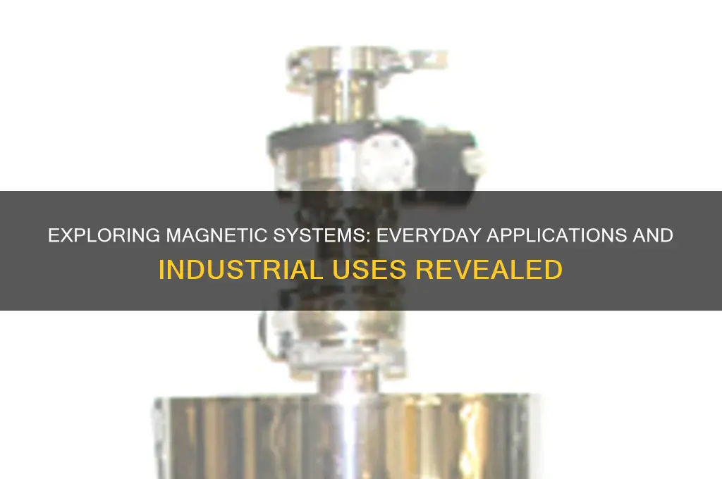 where can magnetic systems be found