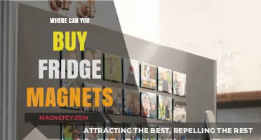 Discover Unique Fridge Magnets: Top Shopping Destinations and Tips