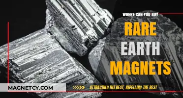 Where to Buy Rare Earth Magnets: Top Sources and Tips