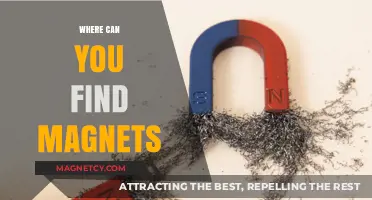 Discovering Magnets: Everyday Locations and Surprising Sources Explored