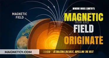Unveiling the Source of Earth's Magnetic Field: A Journey to the Core